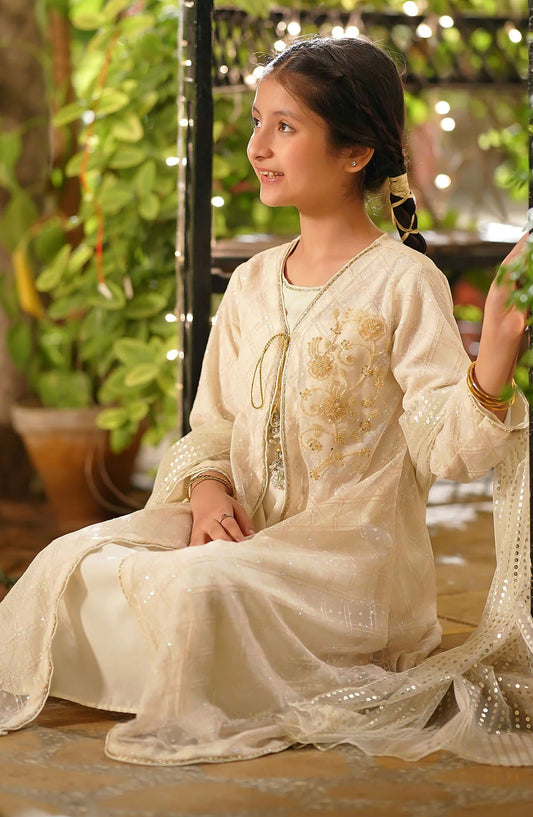 Sequence Net Hand Adda Work 3 Piece Suit - MAX-34 - OCH25GFS - Off White - Casual Collection