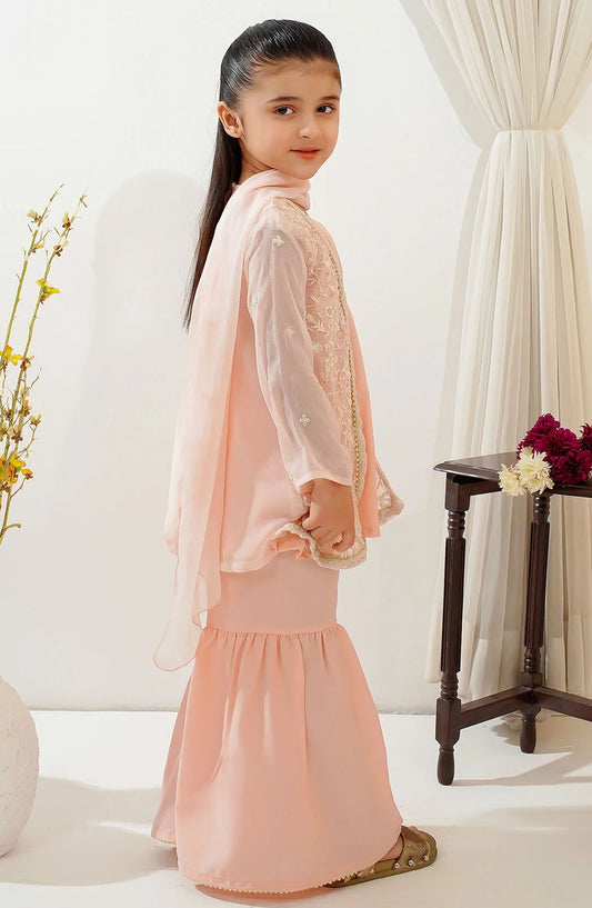 Chiffon Embroidered 3 Piece Suit - INCF-24 - OCH25TE - Peach - Casual Collection