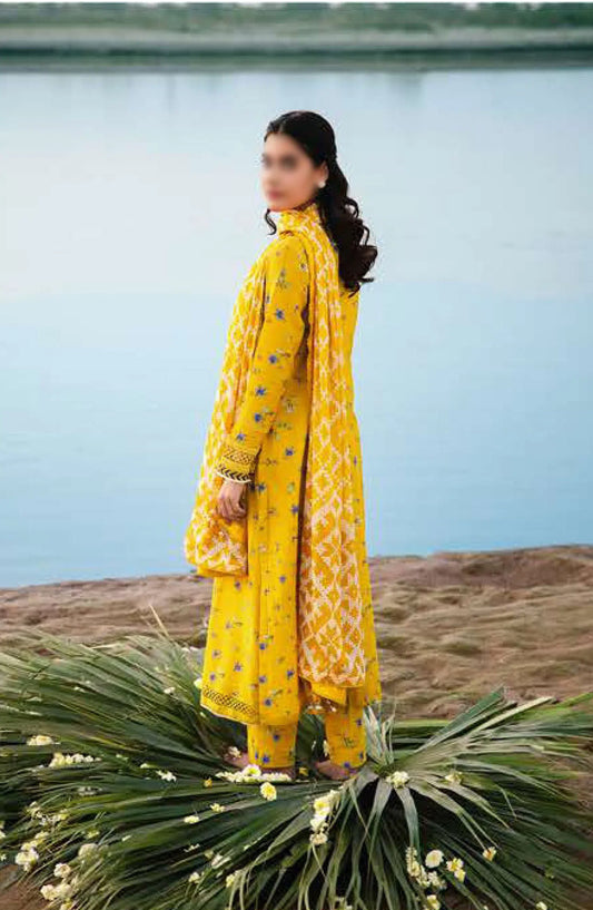Maria B M Basics Unstitched Lawn Edition 2024 - Design 01 B