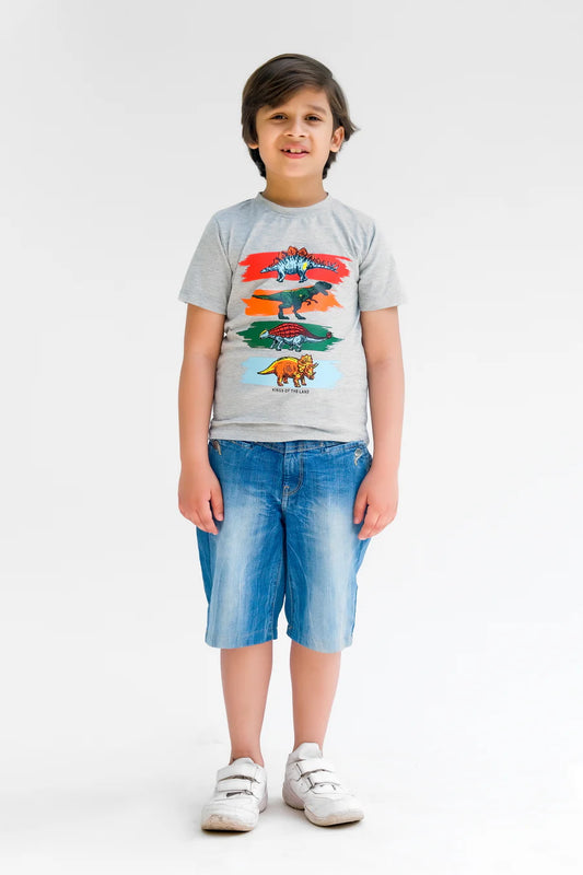 Kings Of The Land Half Sleeves T-Shirts For Kids - Grey