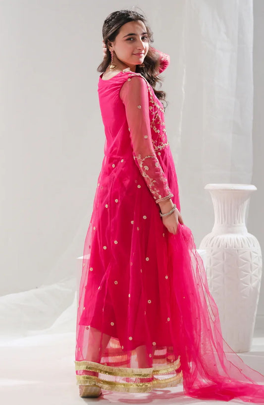 Suhana - 2pcs Embroidered Peshwas