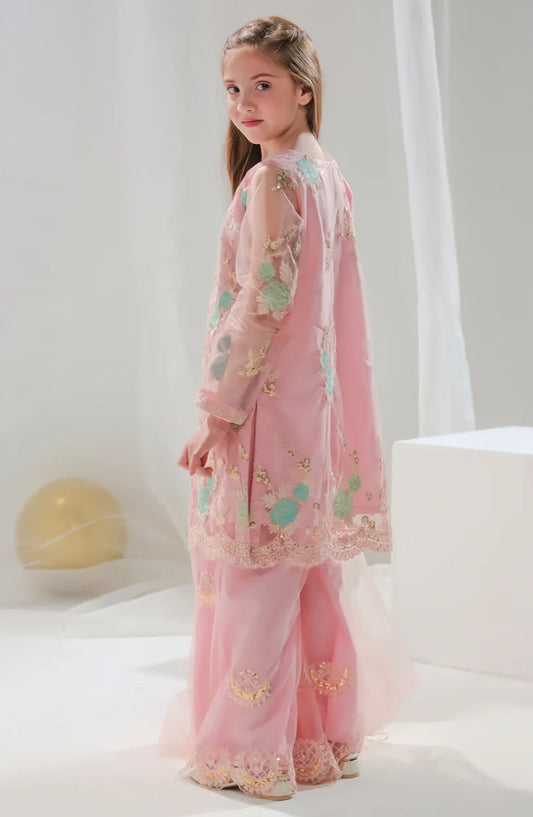 Aiza - 3-Piece Embroidered Set