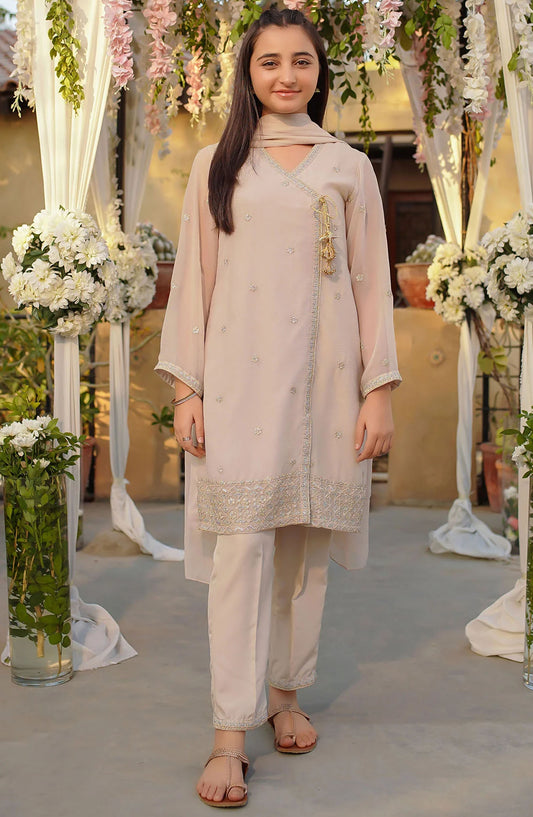 Chiffon Embroidered 3 Piece Suit - EM-53 - OCH25GFS - Beige - Casual Collection