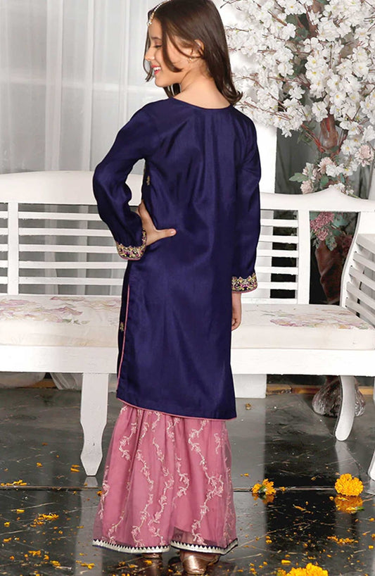 Modest Embroidered Raw Sillk Stitched 3 Piece - Gulnoor 9360-Blu - MD25F - Festive Collection