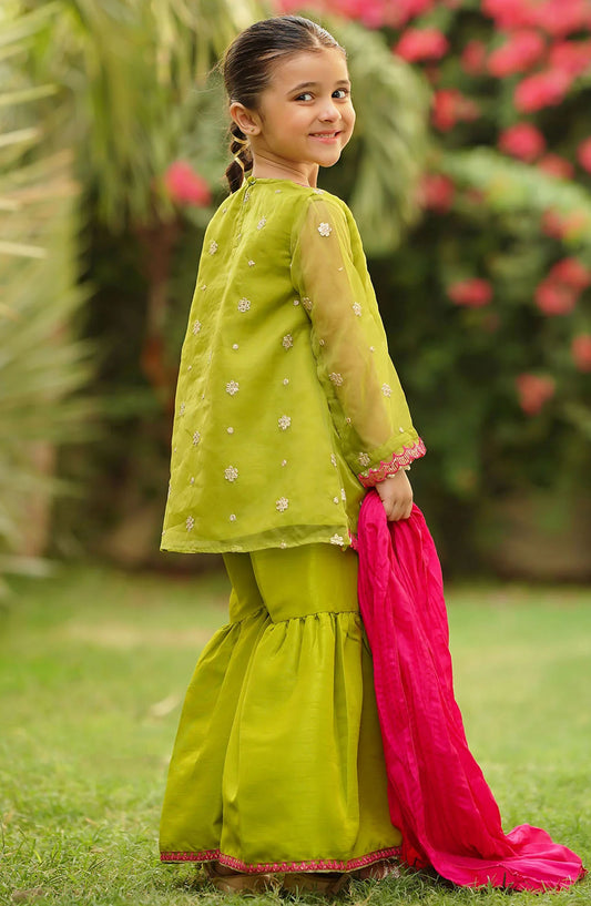 Organza Embroidered 3 Piece Suit - INMHD-05 - OCH25TE - Green - Casual Collection