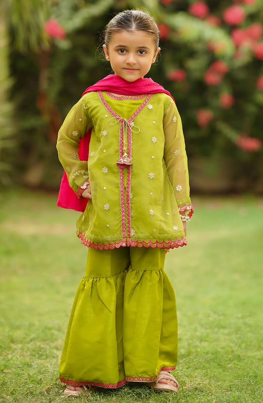 Organza Embroidered 3 Piece Suit - INMHD-05 - OCH25TE - Green - Casual Collection
