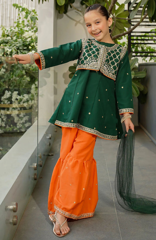 Raw Silk Embroidered 3 Piece Suit - INMHD-04 - OCH25TE - Green - Casual Collection