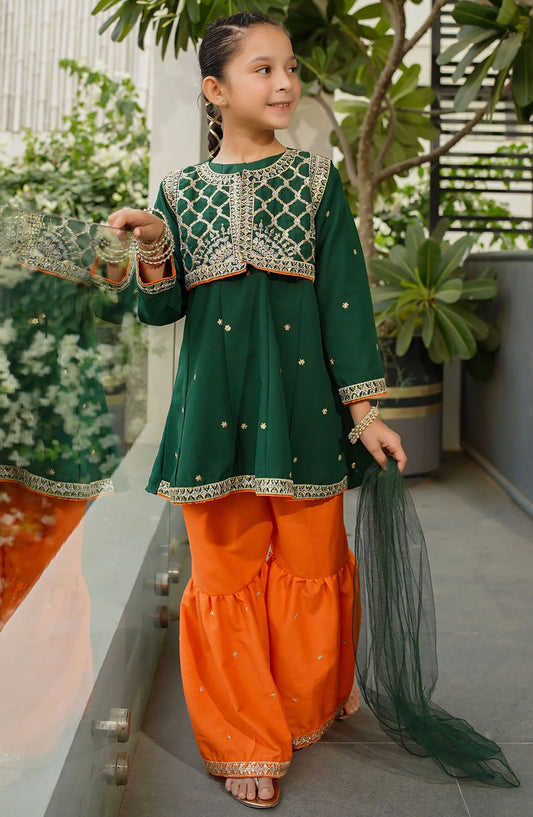 Raw Silk Embroidered 3 Piece Suit - INMHD-04 - OCH25TE - Green - Casual Collection