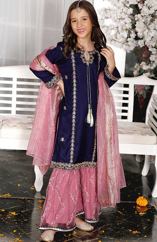 Modest Embroidered Raw Sillk Stitched 3 Piece - Gulnoor 9360-Blu - MD25F - Festive Collection