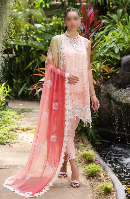 Noor By Saadia Asad Luxury Chikankari Lawn Collection 2024 - D 07 B