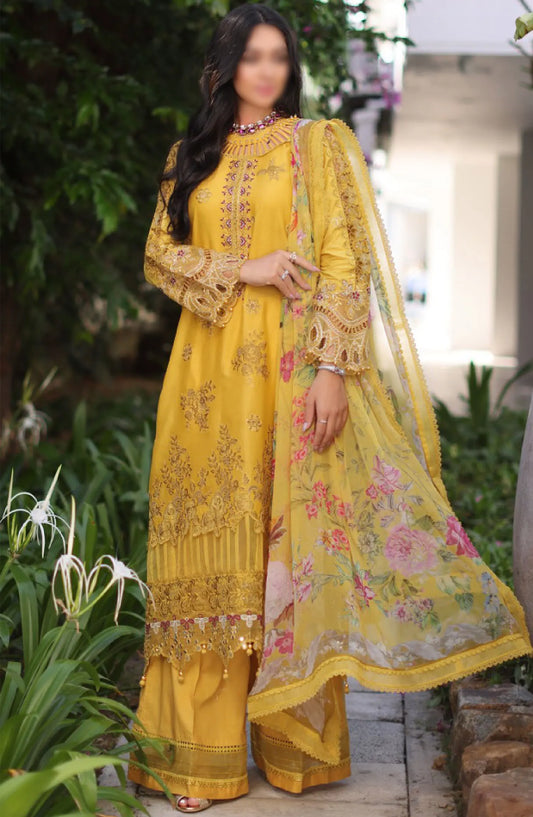 Noor By Saadia Asad Luxury Chikankari Lawn Collection 2024 - D 08 B