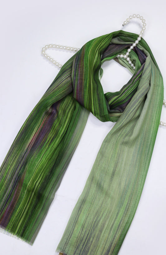 Amna Khadija Premium Soft Voil Stole - D-05 - 756750 - AM25STAM - Green - Winter Collection