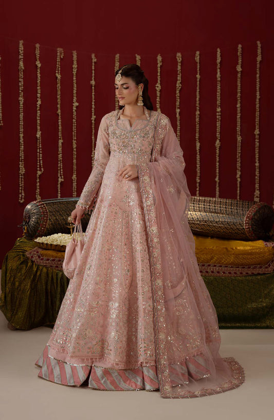 Aylin Ember Embroidered Organza Unstitched 3 Piece Suit - D-07 Lovelorn - AYL26EM - Pink - Festive Collection