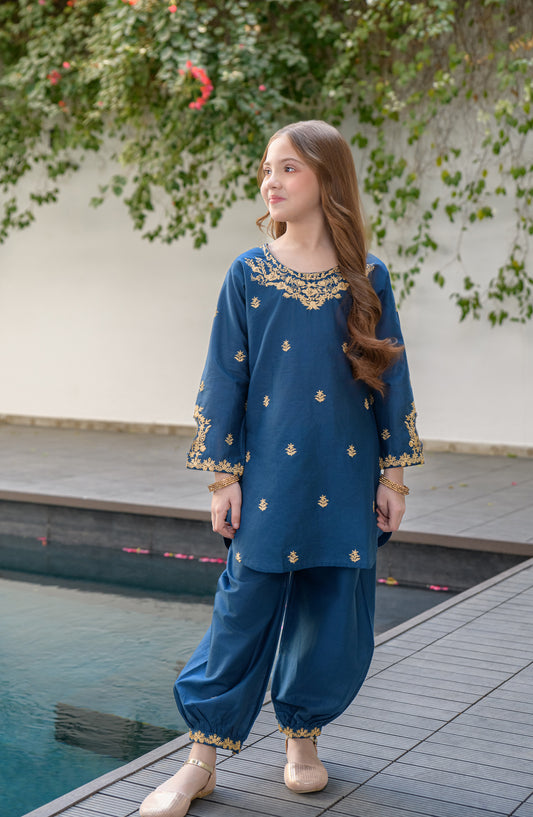 Fresh Birds Embroidered Cotton Lawn Stitched 2 Piece Suit - Ellie - FBR26FS - Dark blue - Festive Girls Collection