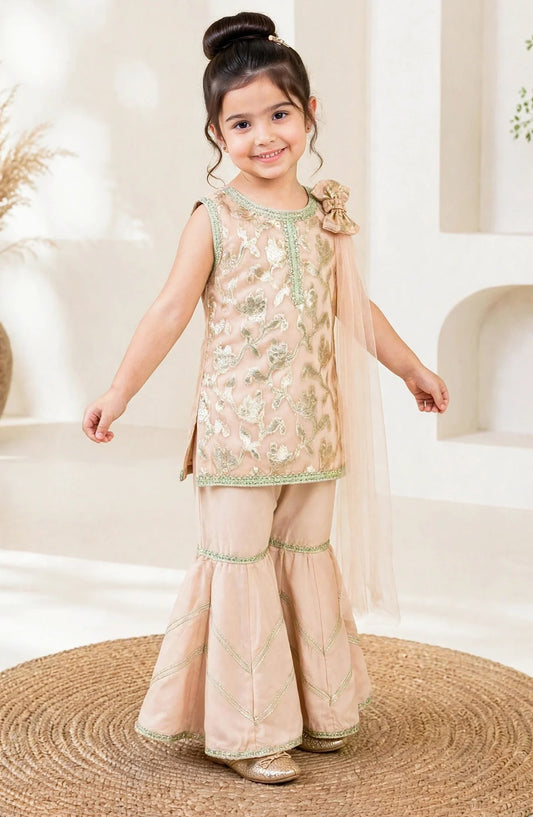 3 Piece Textured Banarsi Peach Gharara - 11330-Pch - MOD26TWF - Festive Collection