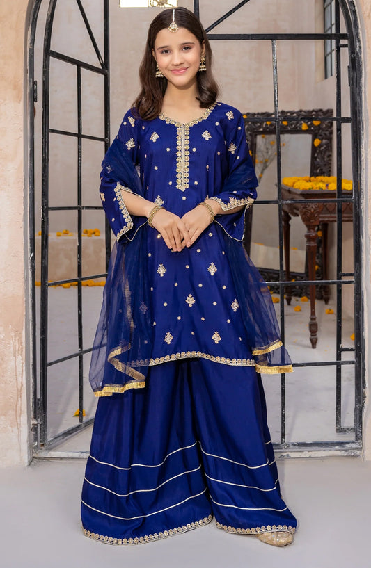 Blue Rawsilk Embroidered 3 Piece Gharara - Blue - 10450-Blu MOD26MT - Festive Collection