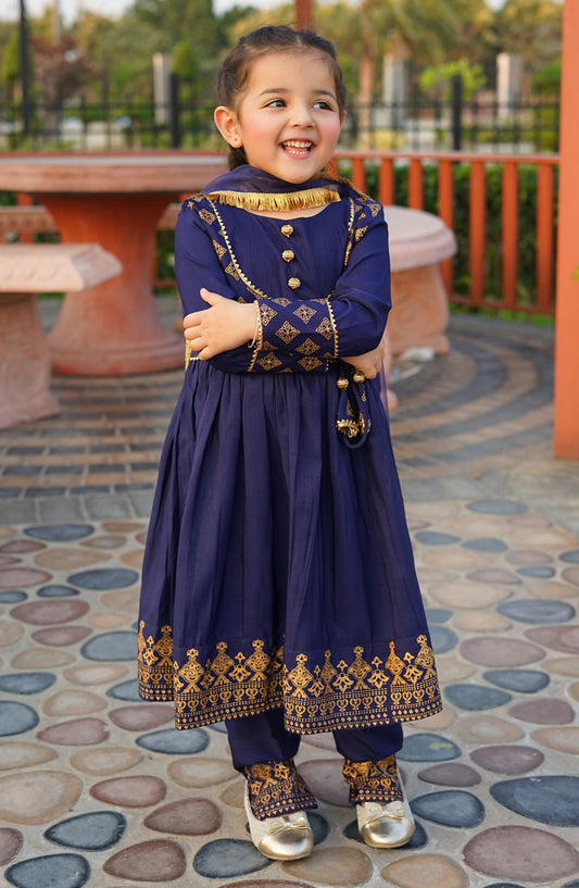 Modest Embroidered Raw Silk Stitched 3 Piece - 9910-NBlu - Zehra - MD25F - Festive Collection
