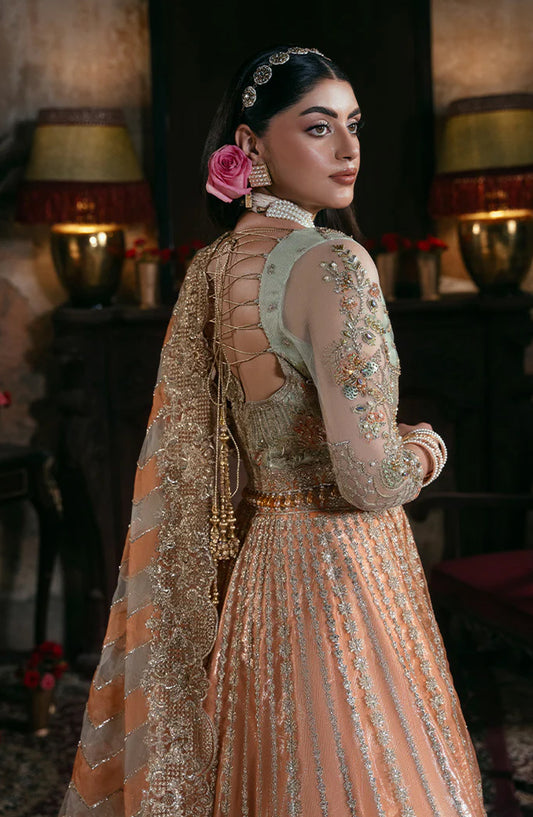 Noor-e-Naaz by Imrozia Luxury Embroidered Net Unstitched 3 Piece Suit - IB-56 SITARAH - IMP25NRN - Orange - Bridal Collection