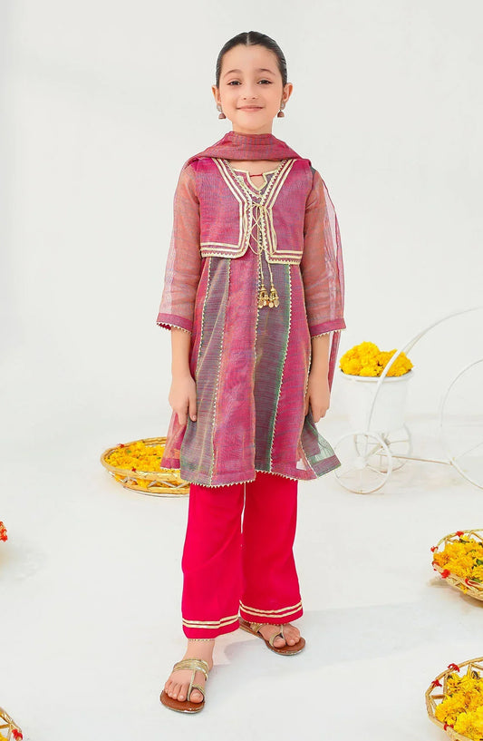 Ochre Embroidered Khaddi Net Stitched 3 Piece Suit - INMHD-10 - OCH25VEL - Pink - Girls Festive Collection