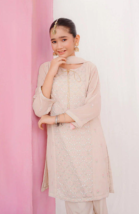 Ochre Embroidered Chiffon Stitched 3 Piece Suit - SHD-21 - OCH25VEL - Peach - Girls Festive Collection