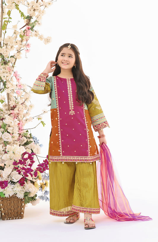 Fresh Birds Embroidered Raw silk Stitched 3 Piece Suit - Opal - FBR26FS - Multi - Festive Girls Collection