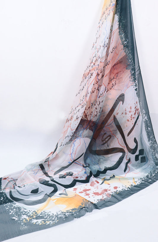 Amna Khadija Printed Chiffon Dupatta - Pak-01 - Green - AM25PKD - Dupatta Collection