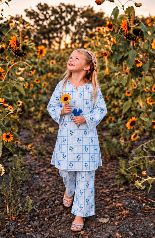 Parchhai by Amna Khadija Printed Cotton Stitched 2 Piece Co-ord Set - AKP-13D - AM26CHI - Blue - Summer Girls Collection
