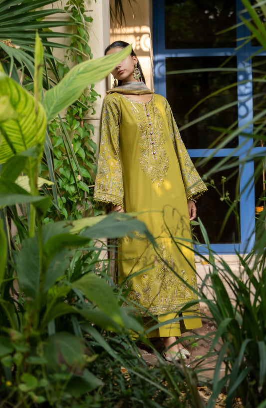 Rua by Casual Lite Embroidered Premium Linen Stitched 3 Piece Suit - D-01 Olive Mustard Hue - CL25RU - Dhani - Winter Collection