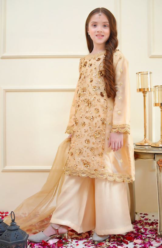 Shanzey Embroidered Net Stitched 4 Piece Suit - SHK-3904 - SHZ25RKB - Golden - Girls Festive Collection