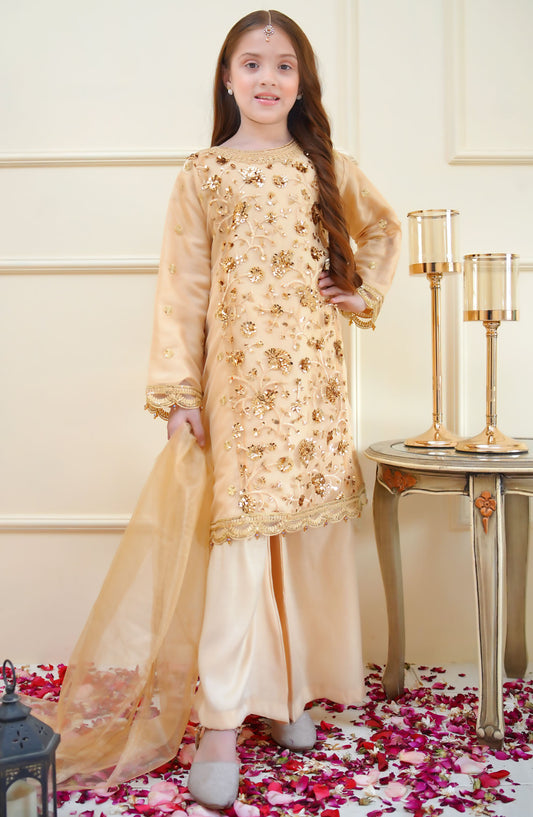 Shanzey Embroidered Net Stitched 4 Piece Suit - SHK-3904 - SHZ25RKB - Golden - Girls Festive Collection