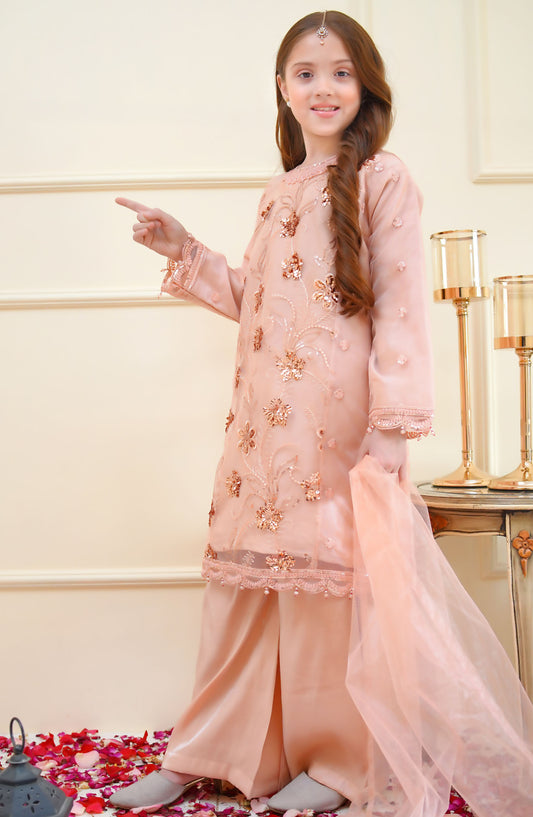 Shanzey Embroidered Net Stitched 4 Piece Suit - SHK-3905 - SHZ25RKB - Peach - Girls Festive Collection