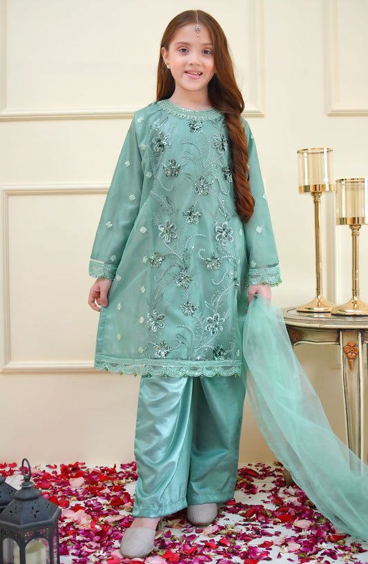 Shanzey Embroidered Net Stitched 4 Piece Suit - SHK-3906 - SHZ25RKB - Green - Girls Festive Collection