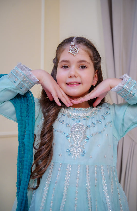 Shanzey Nain Sukh Embroidered Organza Stitched 3 Piece Suit - SHK-4706 - SHZ25NAS - Ice Blue - Festive Girls Collection