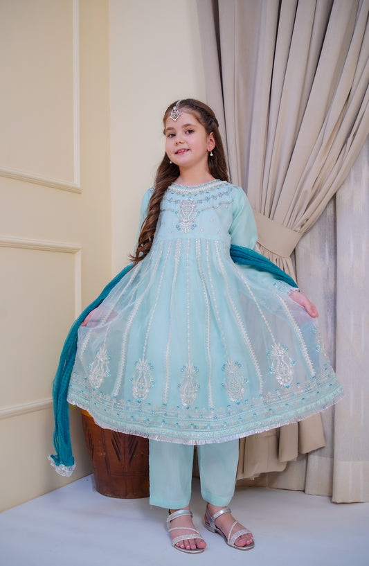 Shanzey Nain Sukh Embroidered Organza Stitched 3 Piece Suit - SHK-4706 - SHZ25NAS - Ice Blue - Festive Girls Collection