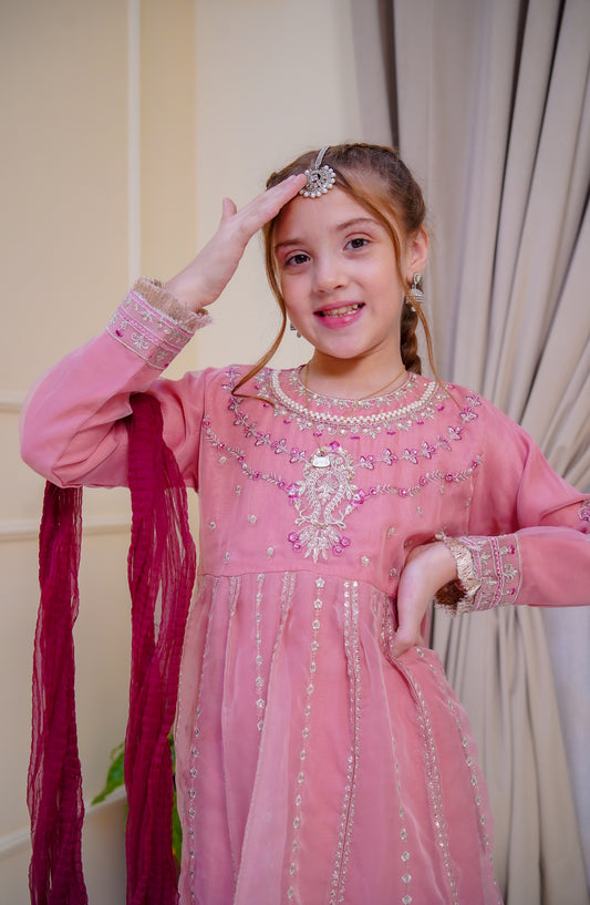 Shanzey Nain Sukh Embroidered Organza Stitched 3 Piece Suit - SHK-4705 - SHZ25NAS - Pink - Festive Girls Collection