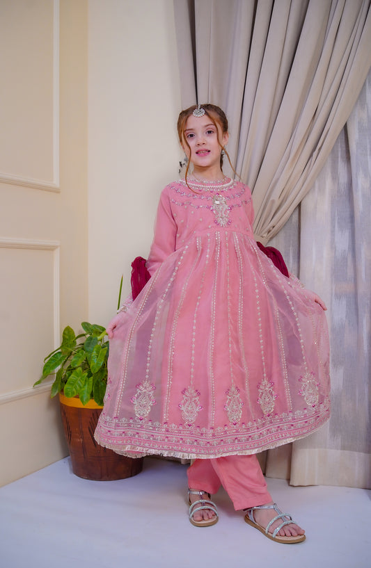 Shanzey Nain Sukh Embroidered Organza Stitched 3 Piece Suit - SHK-4705 - SHZ25NAS - Pink - Festive Girls Collection