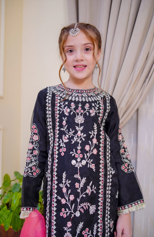 Shanzey Nain Sukh Embroidered Organza Stitched 3 Piece Suit - SHK-4704 - SHZ25NAS - Black - Festive Girls Collection