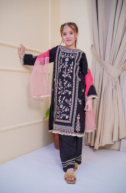 Shanzey Nain Sukh Embroidered Organza Stitched 3 Piece Suit - SHK-4704 - SHZ25NAS - Black - Festive Girls Collection