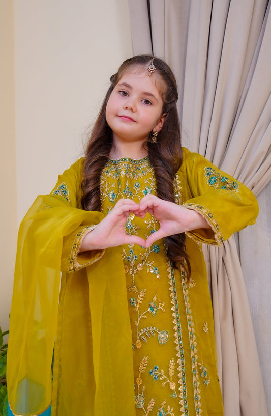 Shanzey Nain Sukh Embroidered Organza Stitched 3 Piece Suit - SHK-4703 - SHZ25NAS - Lime Green - Festive Girls Collection