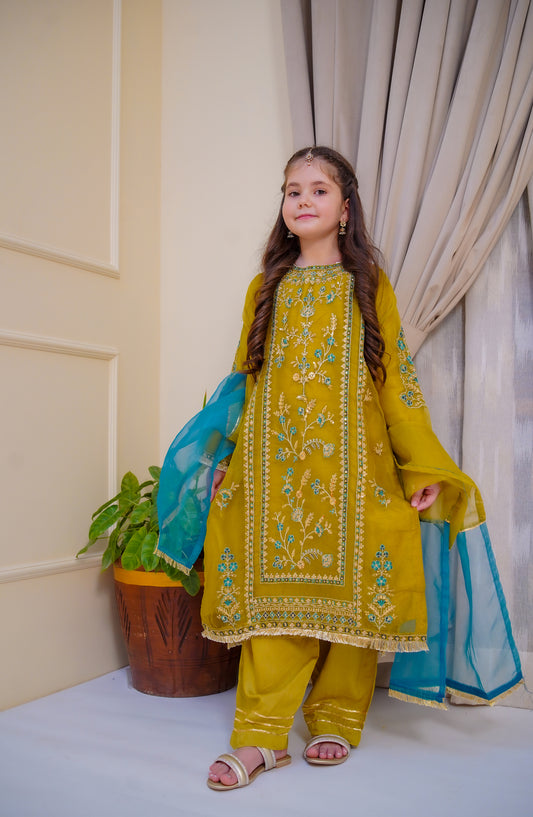 Shanzey Nain Sukh Embroidered Organza Stitched 3 Piece Suit - SHK-4703 - SHZ25NAS - Lime Green - Festive Girls Collection