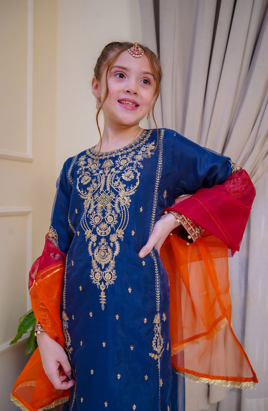 Shanzey Nain Sukh Embroidered Organza Stitched 3 Piece Suit - SHK-4702 - SHZ25NAS - Blue - Festive Girls Collection