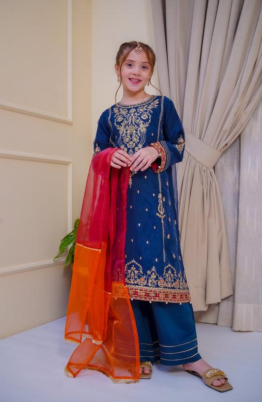 Shanzey Nain Sukh Embroidered Organza Stitched 3 Piece Suit - SHK-4702 - SHZ25NAS - Blue - Festive Girls Collection