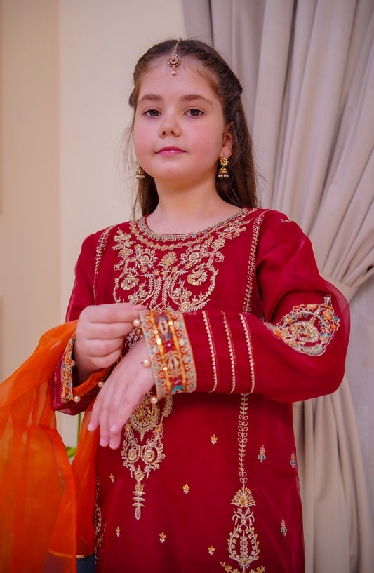 Shanzey Nain Sukh Embroidered Organza Stitched 3 Piece Suit - SHK-4701 - SHZ25NAS - Maroon - Festive Girls Collection