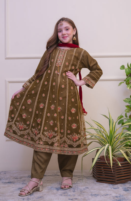 Shanzey Embroidered Organza Stitched 3 Piece Suit - SHK-5102 - SHZ26FOR - Mehendi - Formal Collection