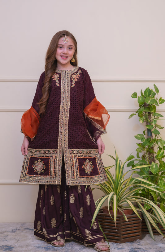 Shanzey Embroidered Organza Stitched 3 Piece Suit - SHK-5006 - SHZ26EST - Burgandi - Festive Collection