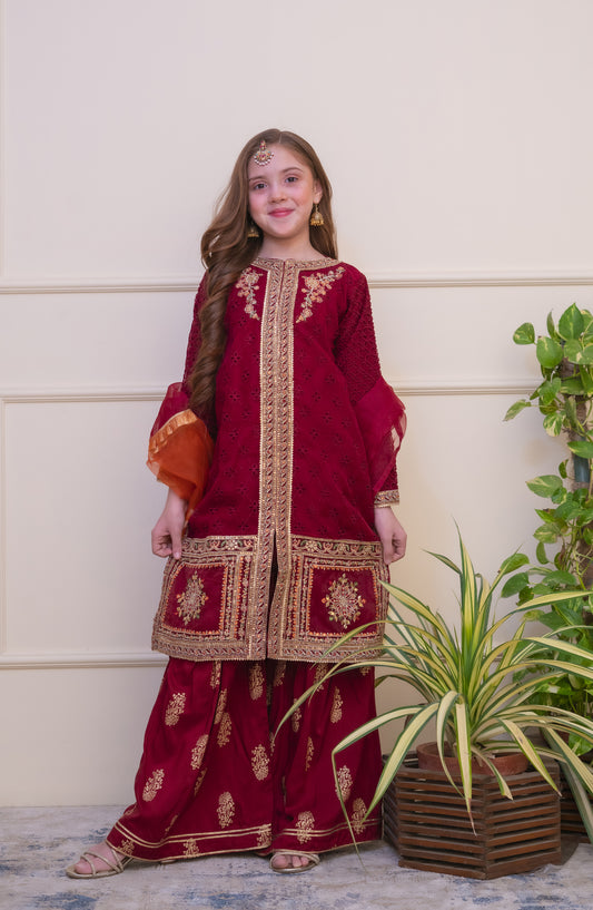 Shanzey Embroidered Organza Stitched 3 Piece Suit - SHK-5005 - SHZ26EST - Maroon - Festive Collection