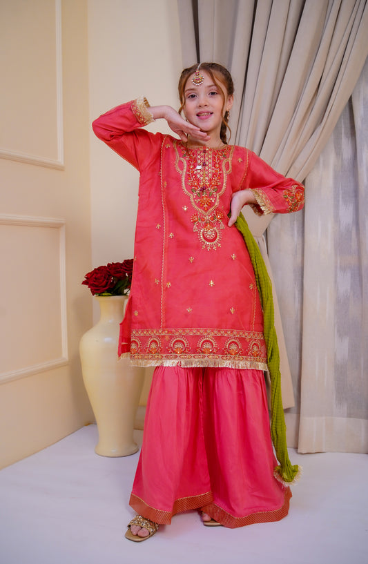 Shanzey Embroidered Organza Stitched 3 Piece Suit - SHK-5003 - SHZ26EST - Pink - Festive Collection