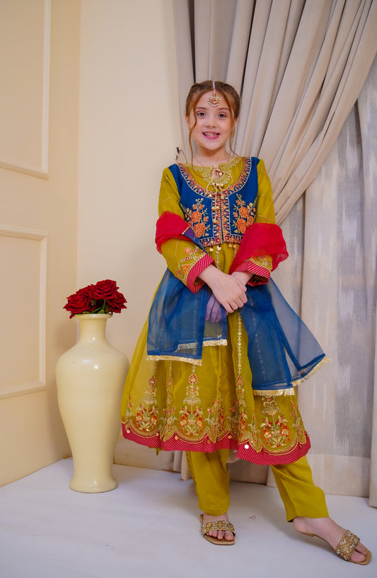 Shanzey Embroidered Organza Stitched 3 Piece Suit - SHK-5002 - SHZ26EST - Mehendi - Festive Collection