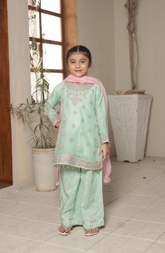 Shanzey Gota Kinari Embroidered Organza Stitched 3 Piece Suit - SHK-5502 - SHZ26GTK - Mint - Formal Festive Collection