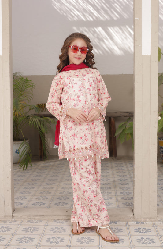 Shanzey Embroidered Lawn Stitched 3 Piece Suit - SHK-5303 - SHZ26LN - Baby Pink - Summer Collection